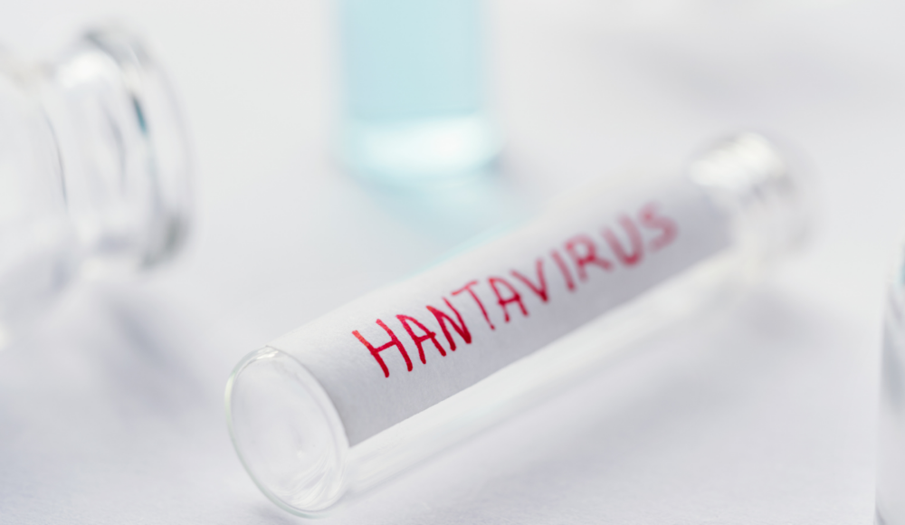 Hantavirus: informazioni generali, diffusione e aspetti patologici